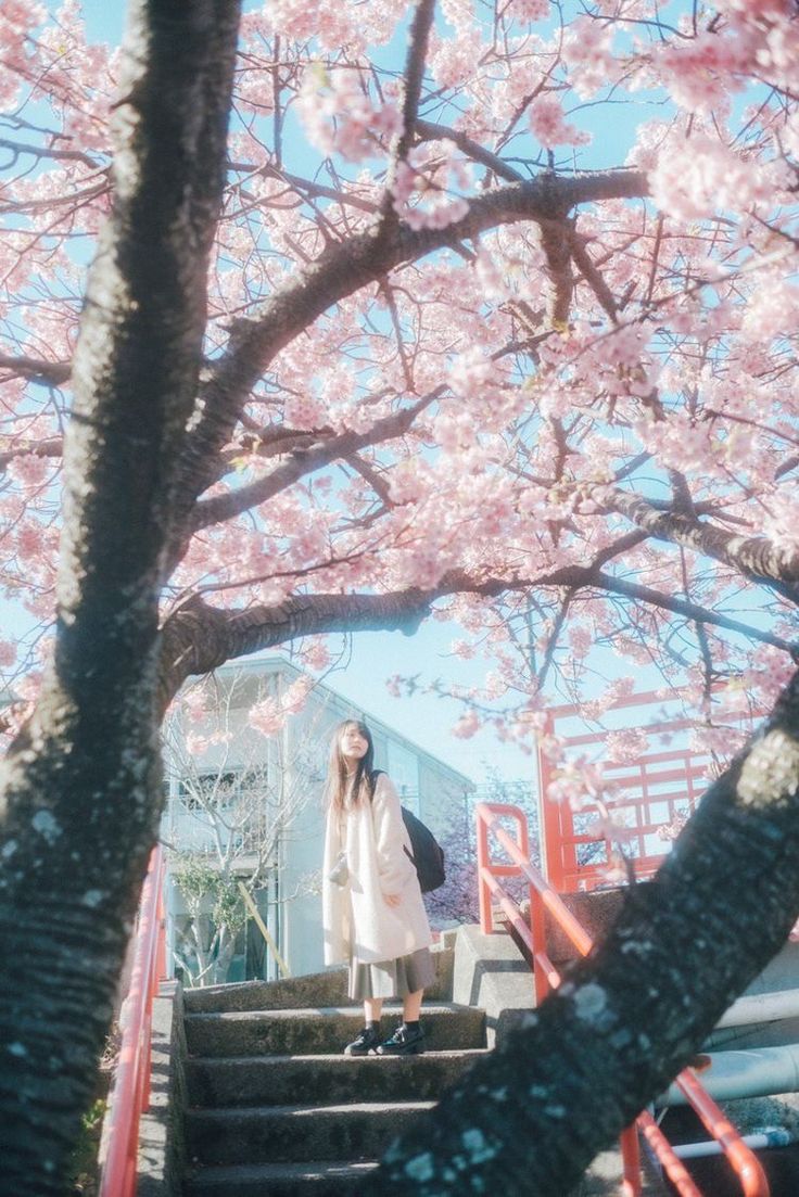a young woman with long dark hair stands on a set of stairs beneath a blossoming cherry tree. she is wearing a light beige coat and dark boots, and is carrying a backpack. the scene is peaceful and serene, with soft, pastel colors and a dreamy atmosphere. the abundance of pink cherry blossoms creates a beautiful and romantic setting.