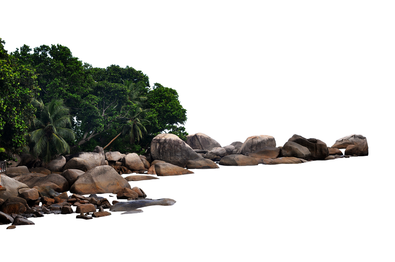 the image shows a tropical coastline with a variety of rocks and boulders near the water's edge. lush green trees and palm trees line the shore. the background is black.