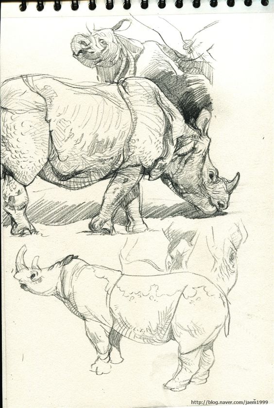 the image is a drawing of three rhinoceroses. the rhinos are all facing to the left. the rhinos are drawn with a lot of detail and shading. the image is in black and white.