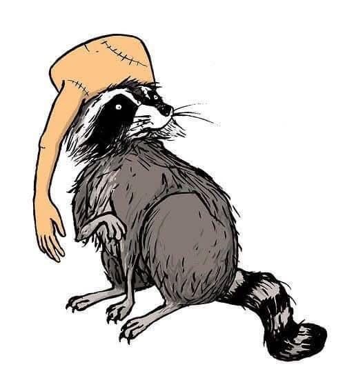 a cartoon drawing depicts a raccoon sitting upright. a severed human arm is positioned over the raccoon's head like a hat. the arm is light tan with stitch marks along the upper part. the raccoon has black and white markings on its face and a striped tail.