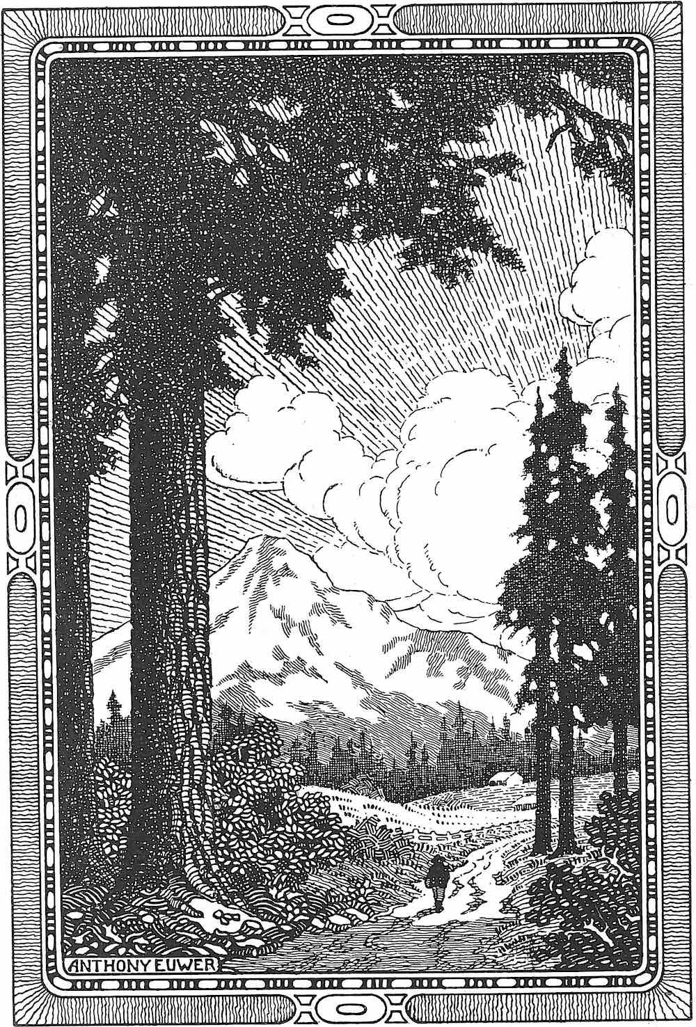 a black and white illustration of a person hiking on a path through a forest. there are tall trees on either side of the path, and a mountain range in the background. the sun is shining brightly, creating areas of light and shadow. the illustration is framed by a decorative border.