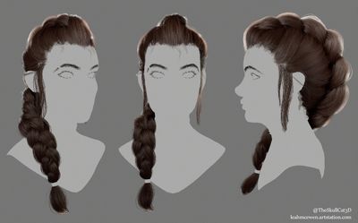 the image showcases a 3d model of intricately braided hair, possibly for a female character. three different perspectives, front, side, and back, highlight the hairstyle's details. the hair is a rich brown, intricately braided and styled, presented on a simple grey head model without facial features, emphasizing the hairstyle itself.