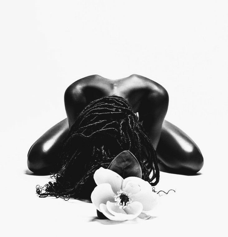 the image is a black and white fine art photograph. it features a nude black woman with long dreadlocks, positioned in a crouching pose, her back arched gently.  her body is smooth and shiny from the lighting. her head is bowed slightly, obscuring her face. in the foreground, a single, large, white magnolia blossom rests near her hair, providing a stark contrast to the dark tones of the body. the background is pure white, drawing all focus to the subject and the delicate flower. the overall mood is one of serene beauty and contemplative introspection. the image has a minimalist aesthetic with a strong focus on form, texture, and contrast.