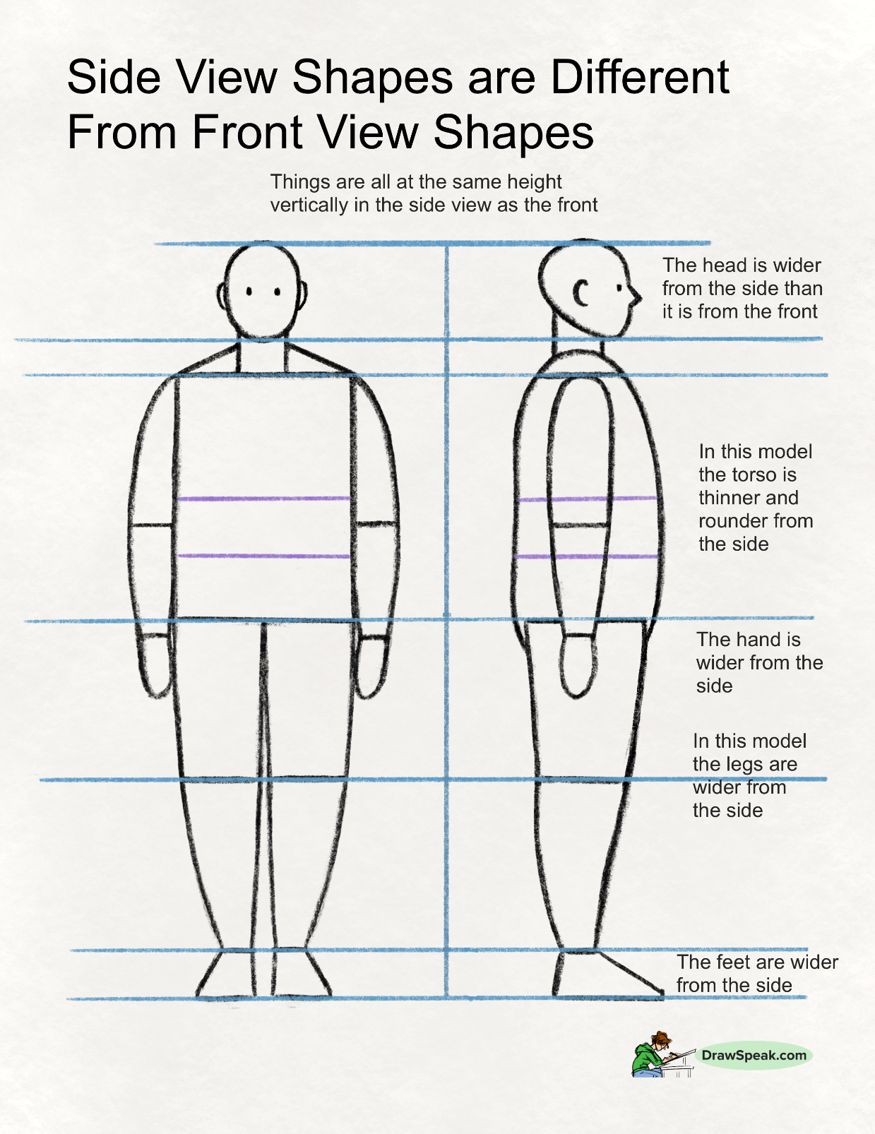 the image is a drawing tutorial from drawspeak.com that demonstrates the differences between the side view and front view shapes of a human figure.  two simplified stick figure drawings are presented, one in front view and one in side view, both overlaid on a grid to highlight the differences in width and shape of various body parts, such as the head, torso, hands, legs, and feet.  text labels clearly point out that although the vertical heights are the same, the width of each body part changes significantly between the two views.  the tutorial emphasizes that side views generally show a reduction in width for the torso and a noticeable increase in width for the head, limbs, and feet.