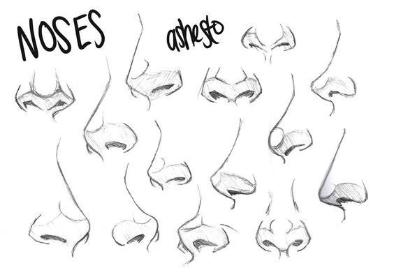the image is a sketch page with multiple drawings of human noses in various shapes and sizes. the drawings are in graphite pencil on white paper. the word "noses" is written in handdrawn capital letters at the top left corner of the page. the word "asbesto" is faintly visible at the top right.