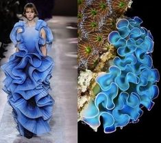 the image shows a stunning juxtaposition of two worlds. on the left, a fashion model struts down a runway, captivating the audience with her exquisite blue gown. the gown is a masterpiece of haute couture, its intricate frills and ruffles forming a cascading waterfall of elegance. on the right, a vibrant coral reef bursts with color and texture. delicate blue coral, resembling intricate lace, forms a captivating underwater scene. the image celebrates the beauty of both the humanmade and the natural, showcasing the artistry of fashion alongside the wonders of the ocean.