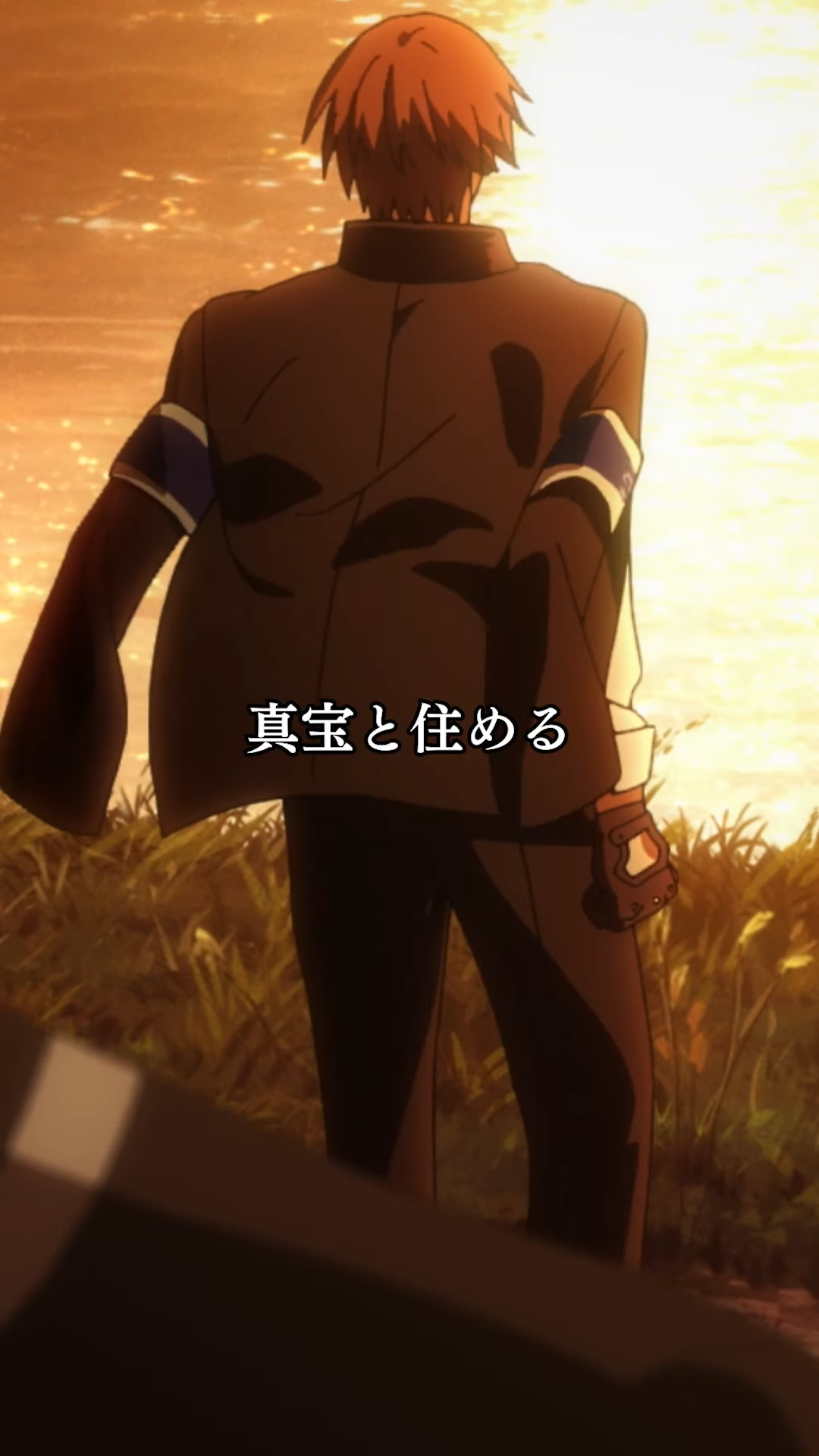 the image showcases the back view of a male anime character with short brown hair, standing amidst tall grass against the backdrop of a vivid sunset. he's wearing a dark, formal attire with a jacket featuring blue accents. the setting exudes a serene and contemplative atmosphere with the warm hues of the sunset dominating the scene. the japanese text overlayed on the image translates to "living with the truth."