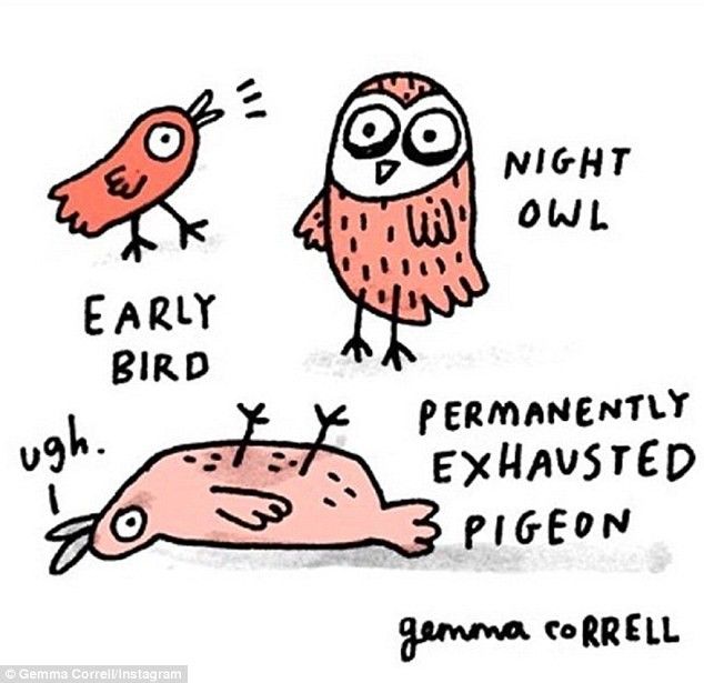 the image is a cartoonstyle illustration by gemma correll featuring three birds, each representing a different state of being. from left to right, there is an "early bird" chirping energetically, a "night owl" with wide eyes, and a "permanently exhausted pigeon" lying on its back with its feet in the air, looking worn out. text labels each bird and the artist's name is at the bottom.