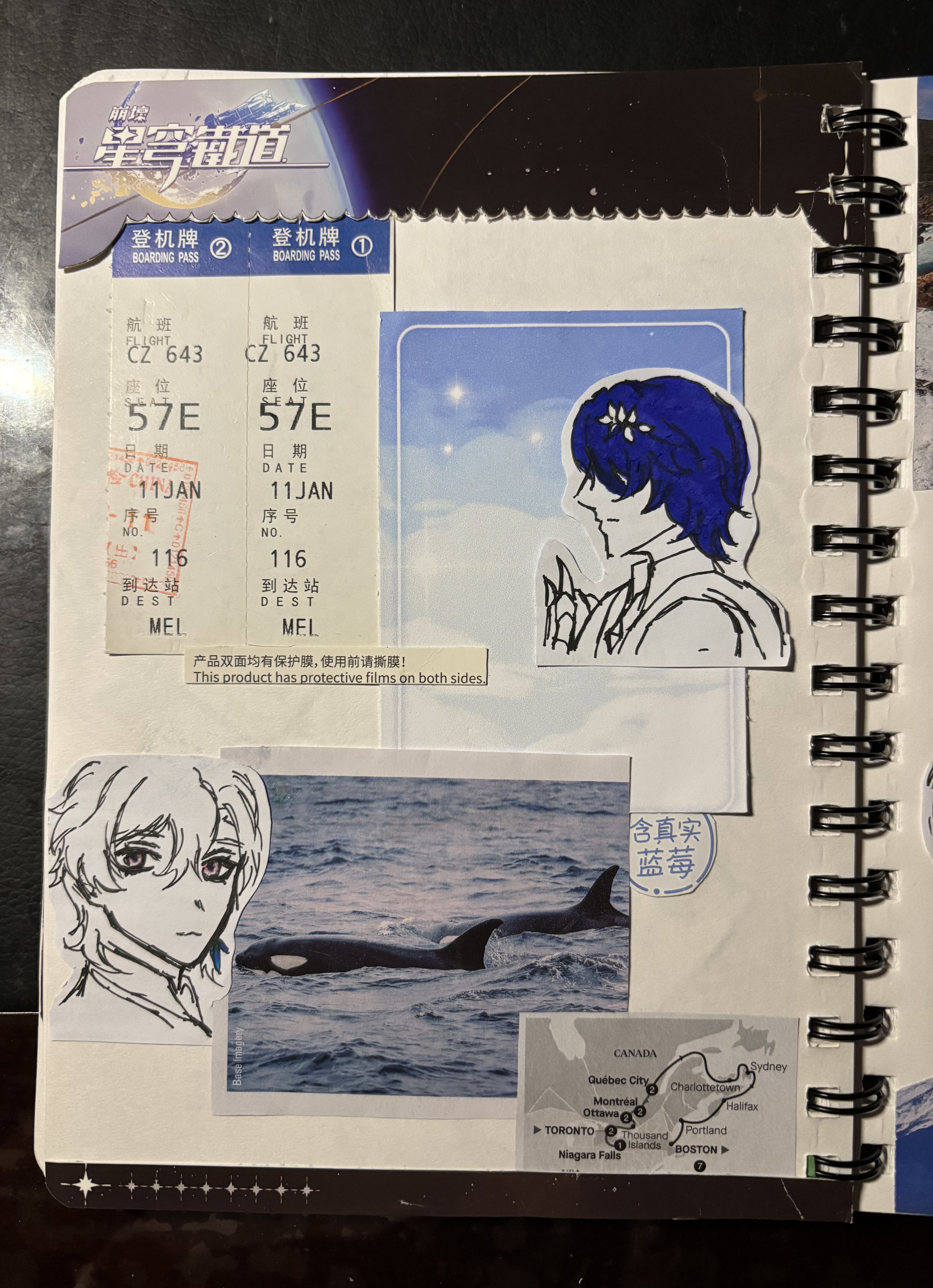 image of a travel journal with stickers, including anime characters, a boarding pass, a picture of orcas, and a map.