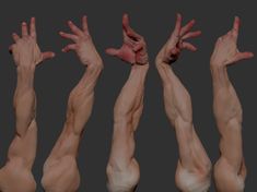 five different poses of an arm rendered in 3d. the arms are shown from the elbow down and are in various states of flexion. the lighting is soft and the overall tone of the image is gray.