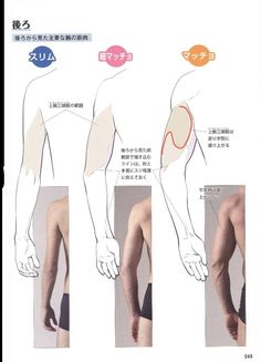 a drawing page from an anatomy reference book showing how to draw arm muscles on a male figure. there are three different examples, labeled "slim," "average," and "matcho." the page is in japanese.