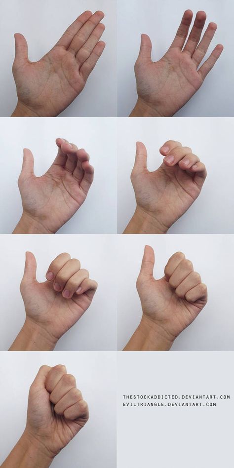 the image shows eight different hand gestures, photographed against a white background. each hand is posed differently, displaying various finger positions and angles. the highquality, closeup shots provide a clear view of the hand's anatomy, making this image ideal for artists or anyone seeking inspiration for hand poses. the image is welllit, with a neutral background, making it easy to see the details of each gesture.