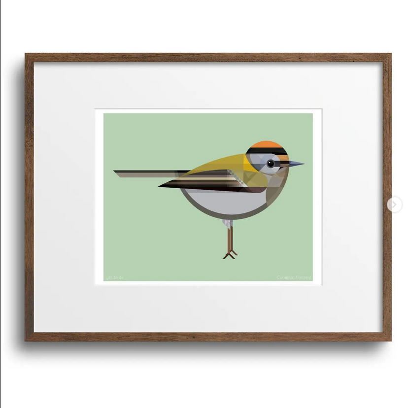 a framed illustration of a small, green and yellow bird with an orange and brown head. the bird is standing on a branch with its wings folded. the background is a light green.