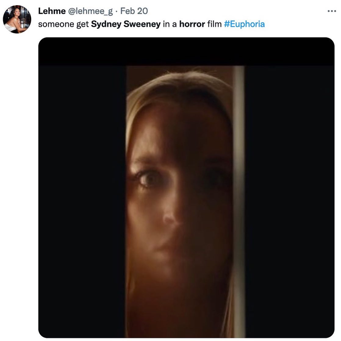 screenshot of a tweet advocating for actress sydney sweeney to star in a horror film. the tweet includes a still image from a film or show, seemingly depicting sweeney's character through a frosted glass door, creating a suspenseful and slightly obscured look.  the tweet includes the hashtag #euphoria, likely referencing the hbo series in which sweeney also stars.  the tweet's tone suggests a desire to see sweeney in a different genre.