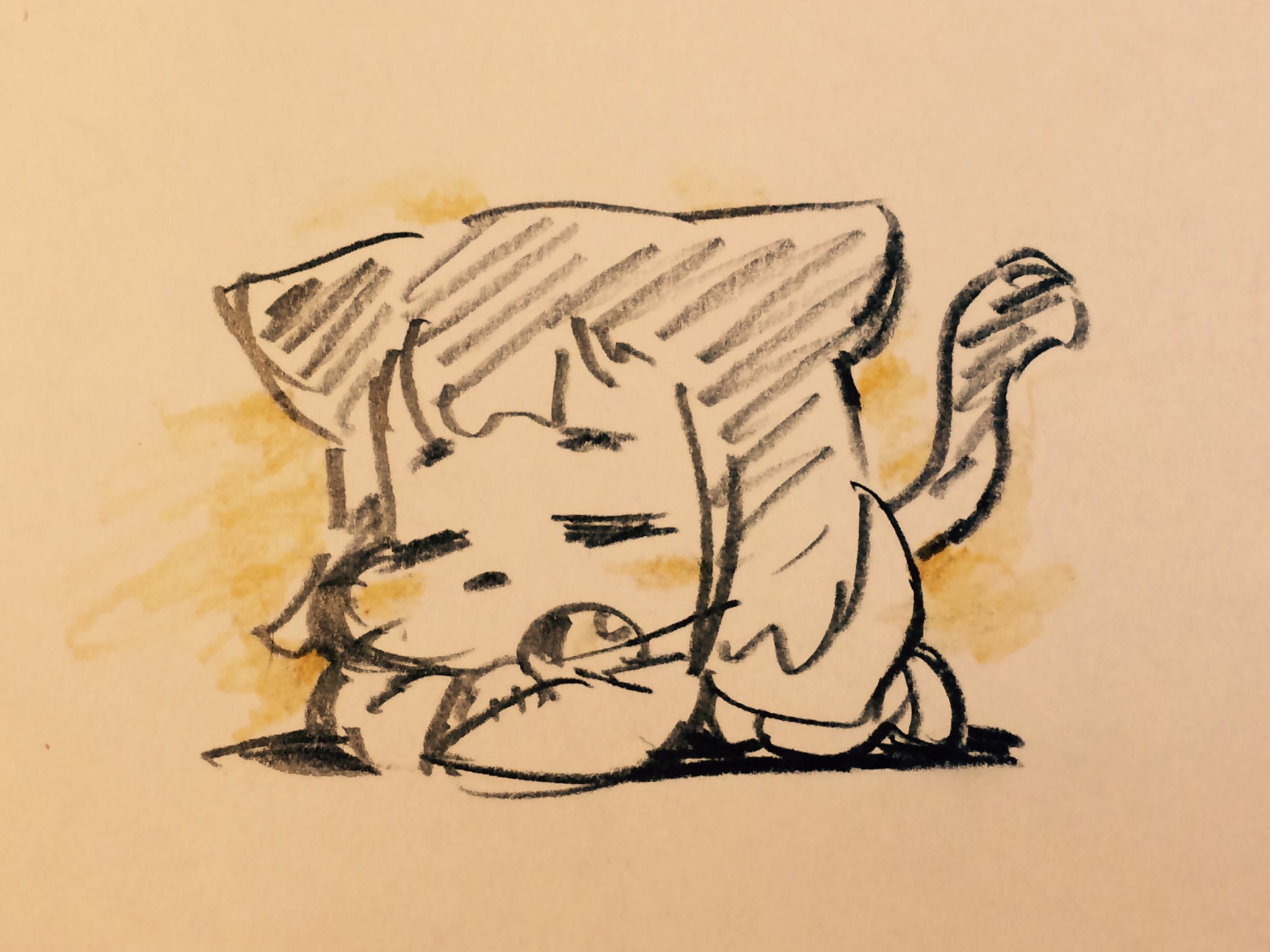 a simple drawing, probably done with pencil or charcoal, of a stylized cartoon catlike creature napping. the creature is curled up with its tail wrapped around its body and its head resting on its paws. it has large, pointed ears, a small nose, and its eyes are closed. there is a subtle suggestion of light coming from the upper left, creating a slight shadow under the creature's chin. content: sketch, drawing, animal, catpeople: noneenvironment: nonelighting: soft lightingperspective: slight perspectivekw: cat, kitten, sleeping, nap, cute, drawing, sketch, doodle, art, animal, pet, feline, cozy, peaceful, rest, relax