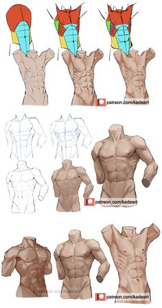 the image is a drawing tutorial showing how to draw the male torso. it breaks down the process into simple steps, using shapes and lines to build up the form of the muscles. the tutorial also includes different views of the torso, so you can see how it looks from different angles.
