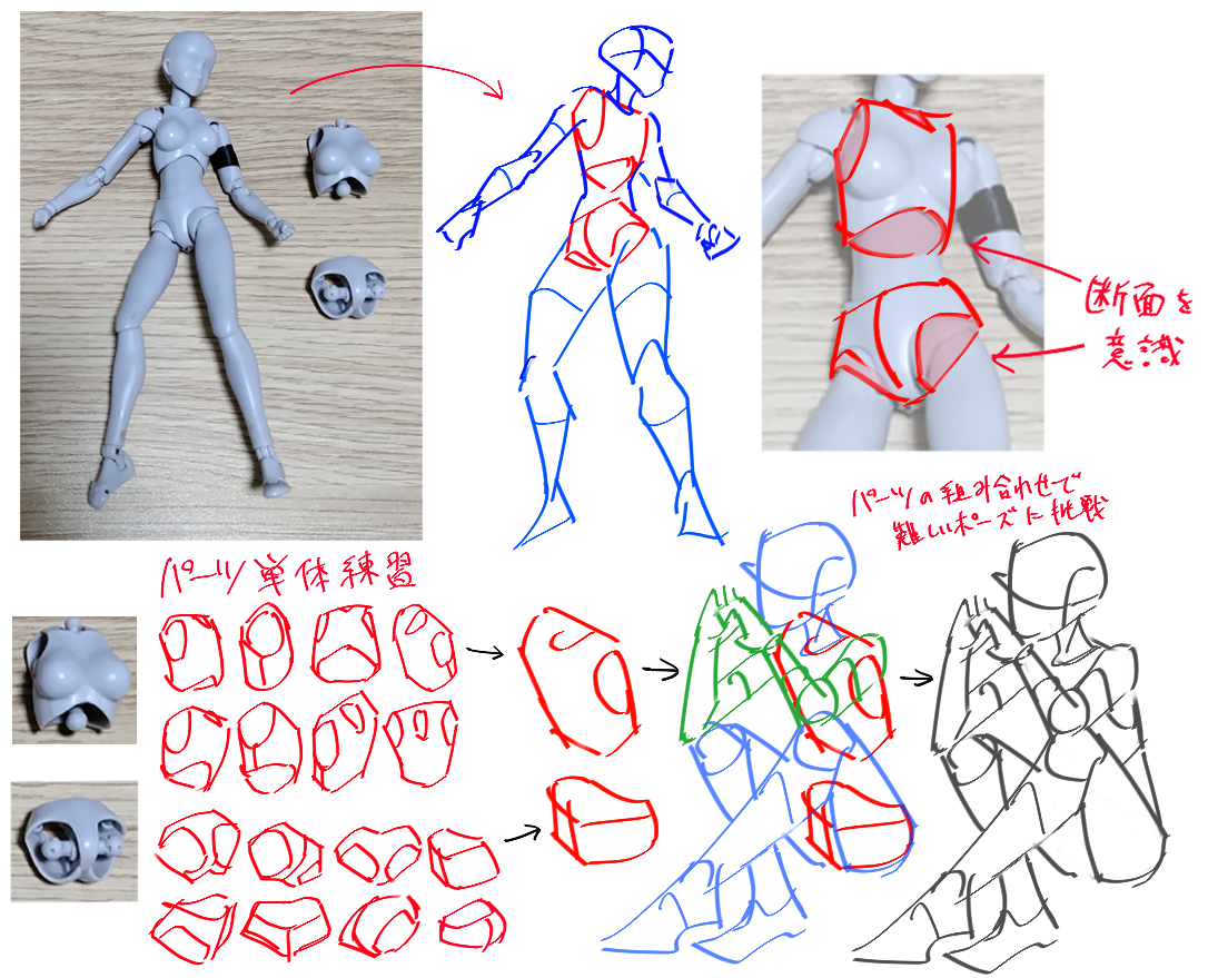 the image shows a stepbystep process of drawing and assembling a figure, possibly for an anime or manga style character or action figure.  it begins with photographs of disassembled parts of a grey plastic mannequin or action figure.  these parts are then used as reference for simplified geometric sketches that gradually become more detailed and represent the full figure in different poses.  there are also sketches exploring the construction of the body and showing the assembling process of the parts. the japanese text provides commentary on the process, including notes on assembling the parts and considering the crosssection of the body for more realistic representation.  the entire image is a visual tutorial on figure drawing from a simple mannequin to more complex and dynamic poses.