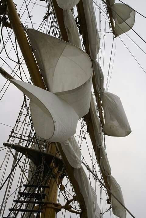 a closeup shot of the rigging and furled sails of a tall ship. the sails are tightly rolled and secured along the mast and spars. numerous lines and ropes crisscross the scene, typical of a traditional sailing vessel. the colors are muted, with whites and greys dominating the image. a section of a ladder and part of the mast are also visible.