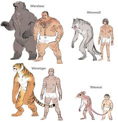 the image presents six figures, each a different type of "were" creature: werebear, werewolf, weretiger, and wererat. each creature is depicted in both its animal and human form, standing sidebyside. the human forms are all nude men with varying builds, showcasing physical changes suggestive of their animal counterparts. the art style is simple and illustrative, using a limited color palette with minimal shading.
