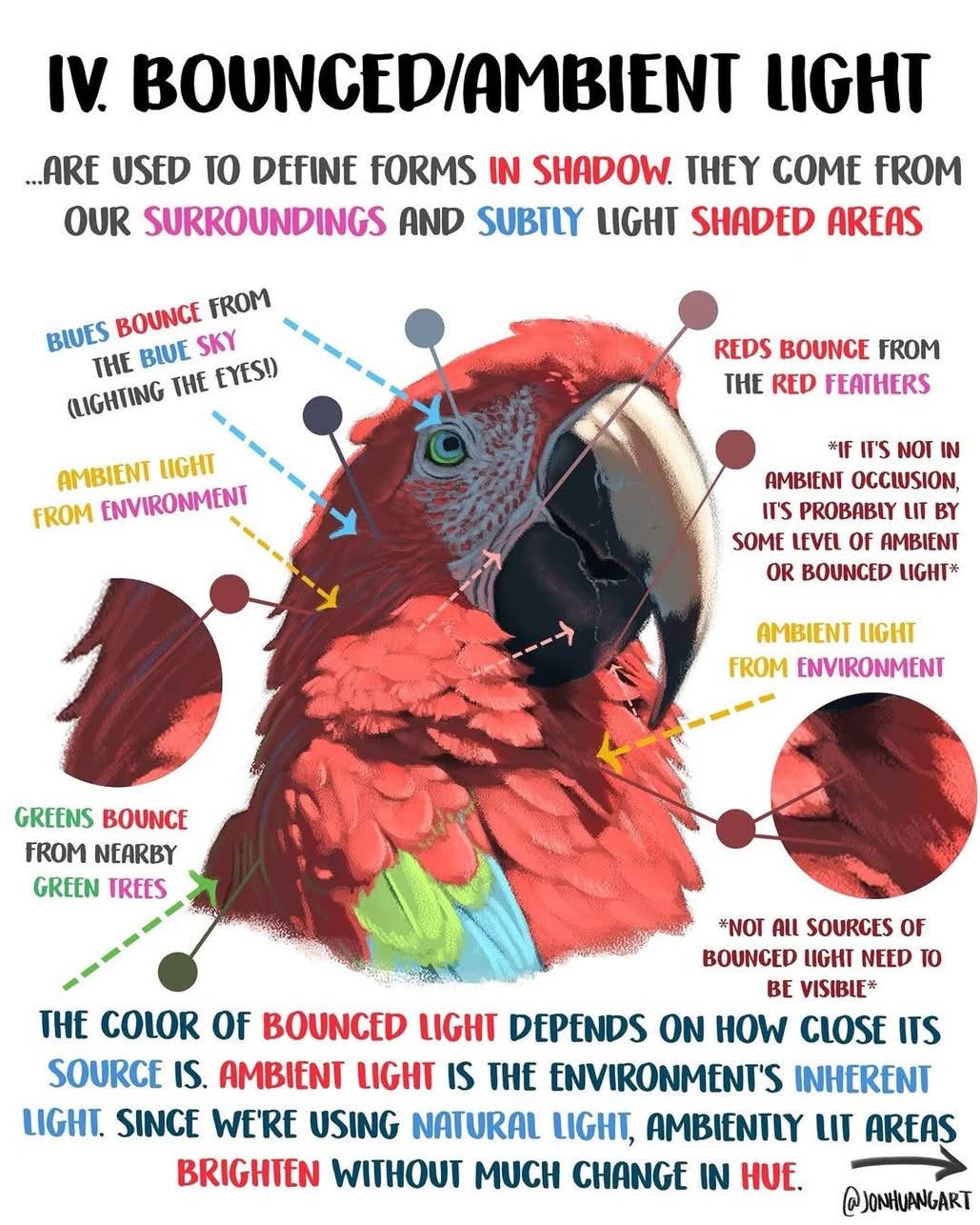 the image is an illustration of a macaw with annotations explaining the concept of bounced and ambient light in art. it shows how light from different sources like the blue sky, red feathers, and green trees affects the colors and shading on the parrot. arrows point to areas on the macaw where these light effects are visible. text highlights the definition of bounced and ambient light, and explains that ambient light brightens areas without changing their hue. additionally, it states the color of bounced light depends on how close its source is. the image emphasizes that these light effects help define forms in shadow.