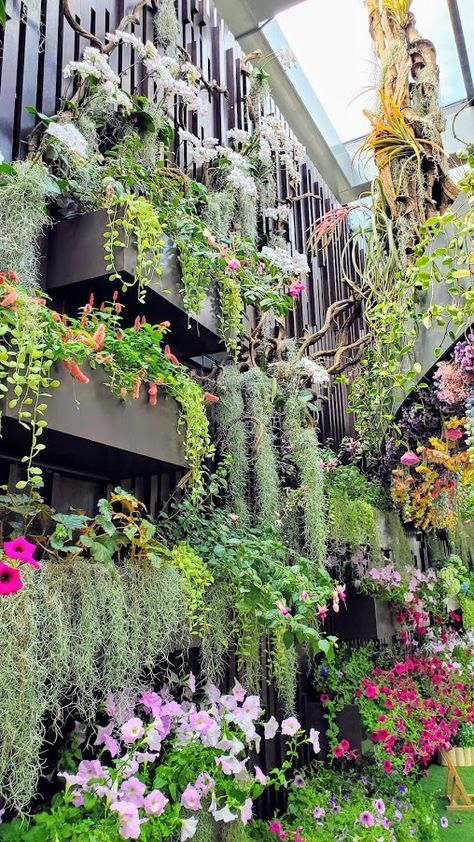 vibrant vertical garden, also known as a living wall, is showcased in this image.  the wall is densely packed with a variety of plants, including orchids, trailing plants like spanish moss, and colorful flowering plants such as petunias. the plants are arranged in tiers and cascading down the wall, creating a lush and textured effect. the wall is incorporated into the design of a building, creating a stunning natural feature.  various shades of pink, purple, and green dominate the color palette. the overall atmosphere is one of abundant natural beauty and creative landscaping.