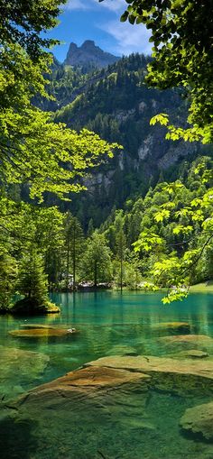 the image showcases a picturesque natural landscape featuring a serene lake nestled amidst lush greenery and towering mountains. the vibrant blue sky peeks through the foliage, illuminating the scene with natural daylight. the tranquil lake reflects the surrounding trees and mountains, creating a captivating mirrorlike effect. the composition exudes a sense of tranquility and invites viewers to immerse themselves in the beauty of the natural world.