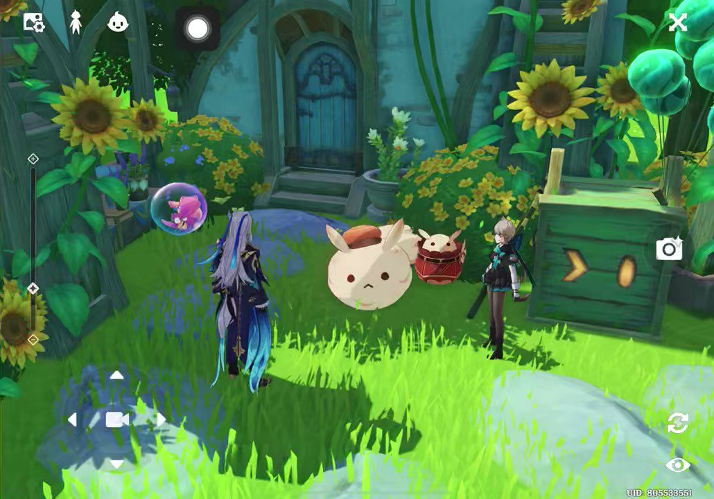 a screenshot from the video game genshin impact showing two characters standing in a lush, green environment.  there are sunflowers and other flowers in bloom. three bunnylike creatures are visible on the ground, one larger than the others. a green box with an arrow symbol is also present. the image appears to be taken in photo mode, with various ui elements such as a camera icon and directional arrows visible. the overall aesthetic is bright, colorful, and whimsical.