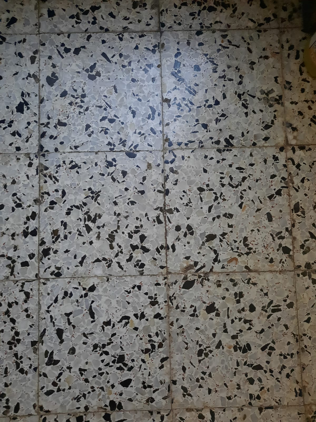 a closeup shot shows a floor covered in terrazzo tiles. the tiles are primarily gray with black and white speckles. the pattern is consistent across all tiles.
