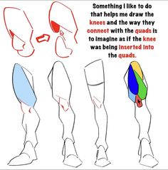 the image shows a tutorial of how to draw a knee connecting with thigh muscles. there are line drawings of legs with the knee joint highlighted in color.