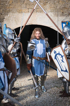 the image shows a group of knights in full medieval armor standing in front of a stone wall.  a central knight in blue armor is prominently featured, holding a long spear or halberd. the other knights are armed with swords and shields, suggesting a battle scene or historical reenactment.  the overall setting and costumes are highly detailed and realistic.