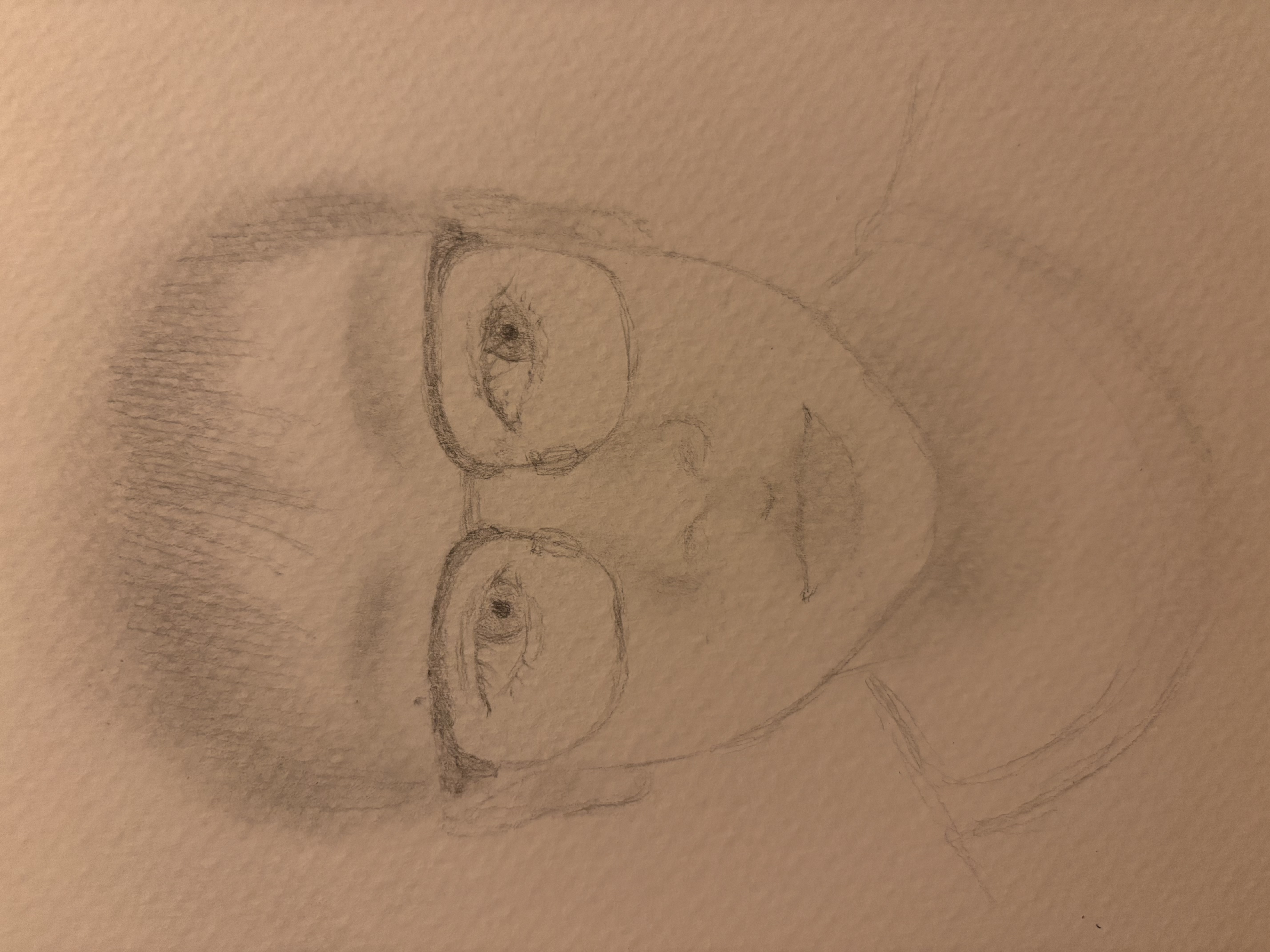 a pencil drawing of a person's face wearing glasses.