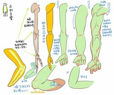 the image is a drawing tutorial focusing on how to draw arms. it features multiple sketches of arms in various positions and from different angles (top view, side view).  the tutorial also includes written annotations in a language that appears to be japanese, likely providing instructions and tips for the aspiring artist.  the drawings showcase simplified bone structures, muscle definition, and different hand poses.