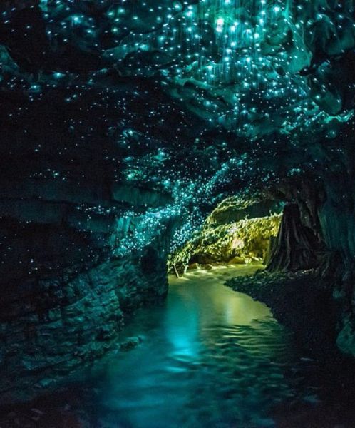 this image depicts a cave illuminated by numerous glowing bluegreen lights, which are bioluminescent glowworms. a river flows through the cave, reflecting the light of the glowworms. the walls of the cave are rough and textured rock formations. the overall effect is a stunning display of natural beauty in a dark, underground environment.