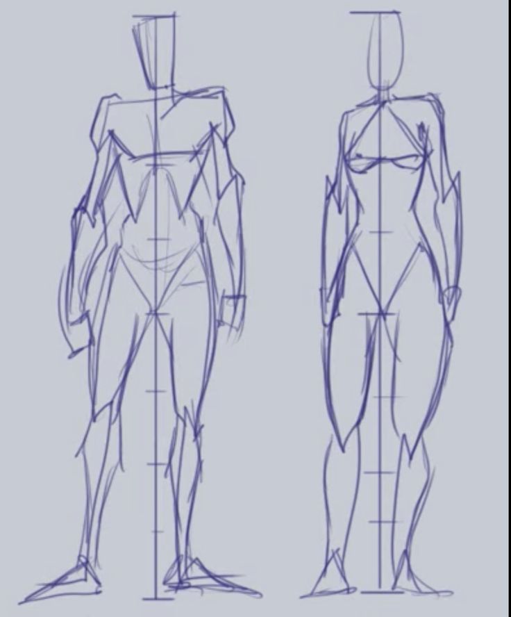 this is a sketch of a male and female figure, standing with their arms at their sides. the sketch is done in line art and shows the basic anatomy of the human body.  it's like a guide for drawing.