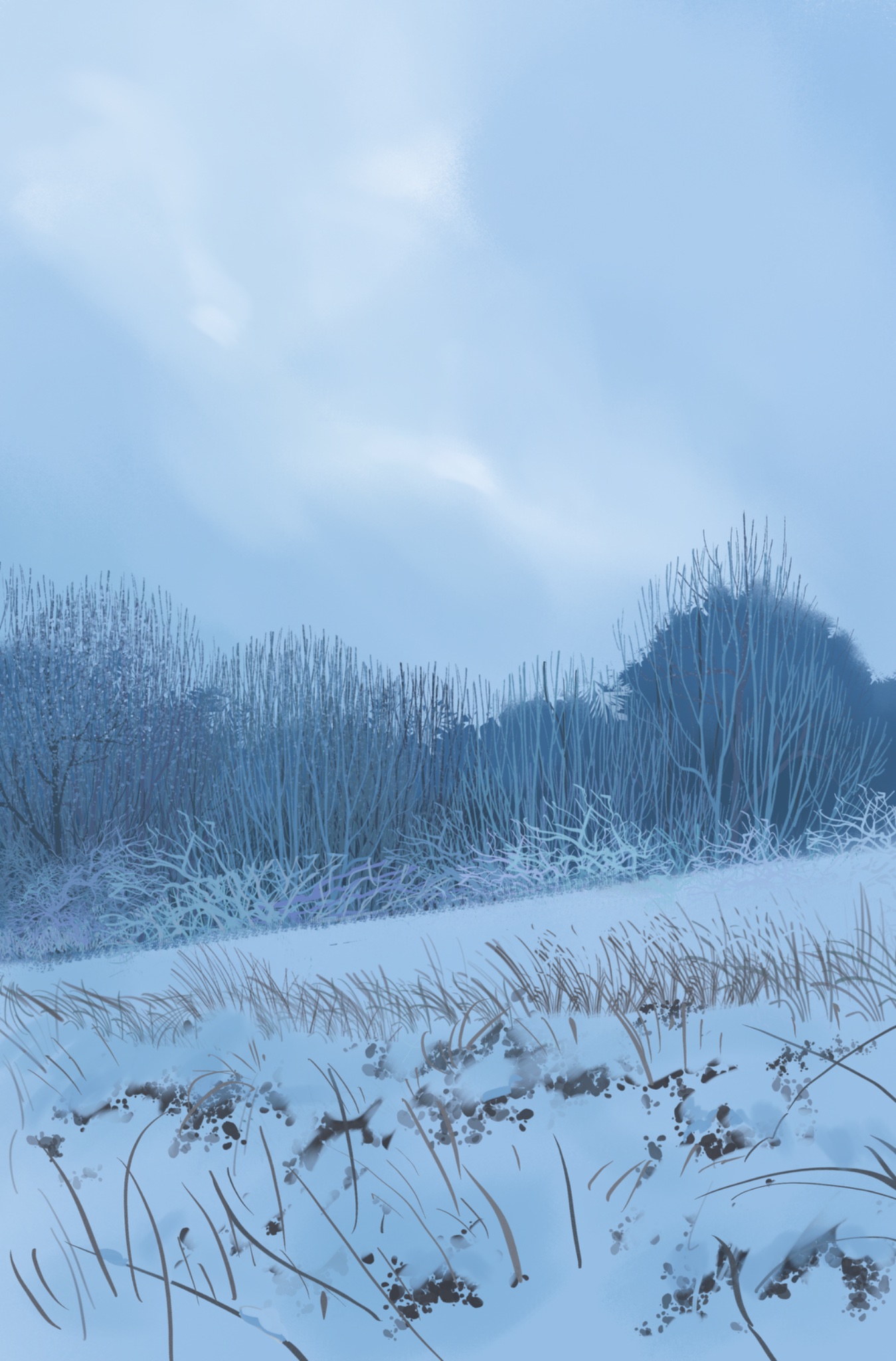 a wintry landscape scene with snowcovered ground, sparse grass poking through, and a line of bare trees and bushes in the background under a cloudy, bluetoned sky.