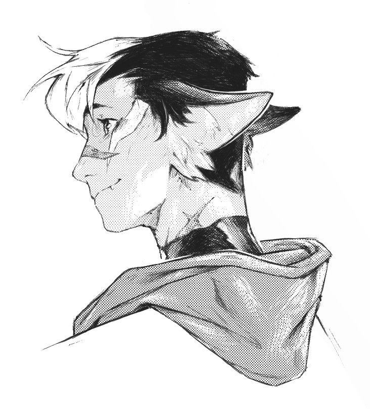 the image is a black and white ink drawing of an anthropomorphic character, possibly a catlike person.  the style is expressive and uses a combination of stippling and hatching to create texture and shading. the character's profile is shown, revealing catlike ears, and they're wearing a hooded jacket.  the artwork has a graphic novel or comic book feel. the character's expression is somewhat pensive or melancholic. the style is detailed, with attention given to hair texture, facial features, and clothing folds.