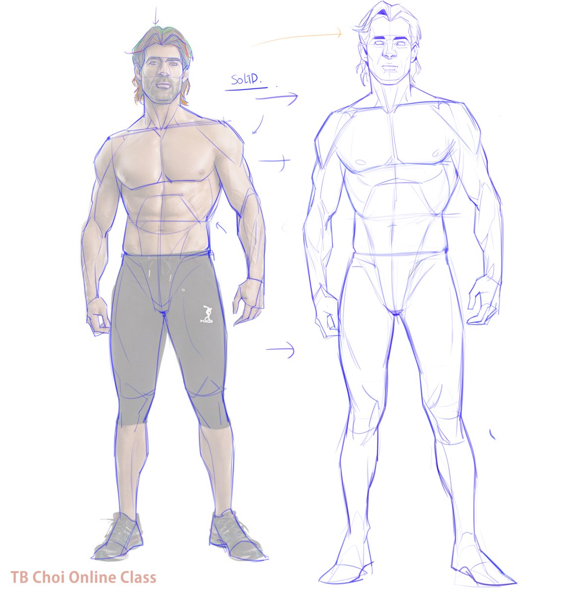 the image shows a sidebyside comparison of two digital drawings of a muscular male figure. on the left is a more rendered version, showing a man with long hair, wearing athletic shorts, and detailed muscle definition.  on the right is a simpler, underlying construction drawing (blue lines) showing the basic shapes and proportions of the figure before the details were added. arrows indicate how the solid form was built from the underlying structure.  the bottom right corner shows a watermark stating "tb choi online class," suggesting this is an example from a figure drawing tutorial. the image focuses on demonstrating the process of building a realistic male figure drawing from a basic skeletal and muscular framework.