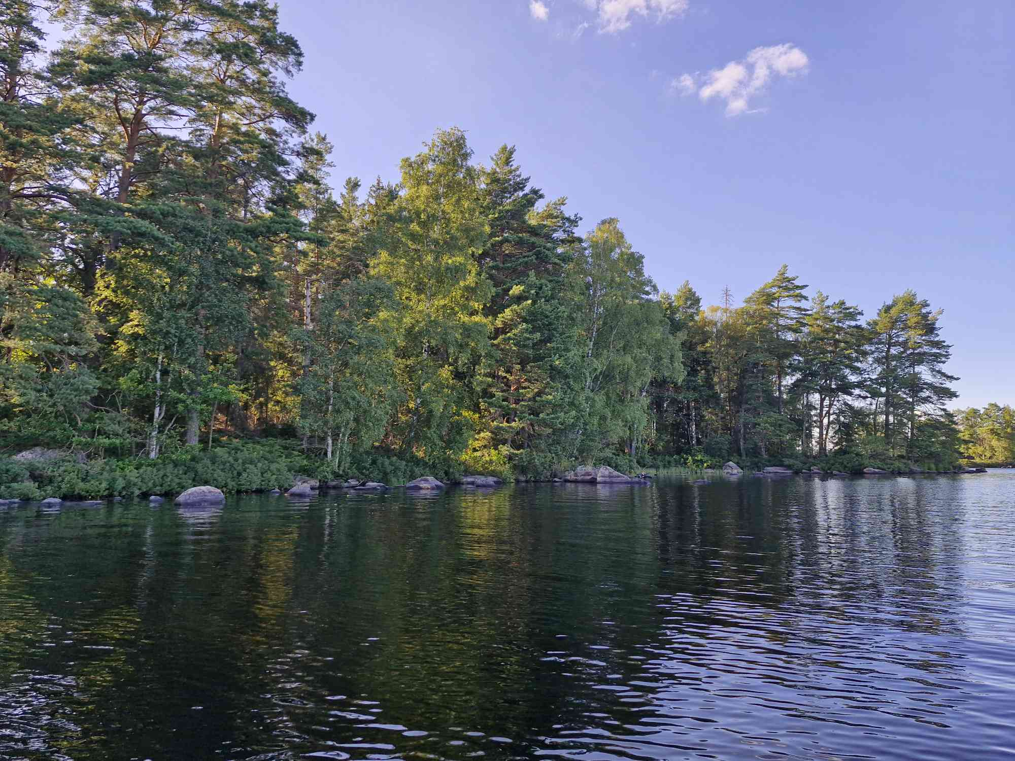 a scenic view of a lake with a forest along the shoreline. the trees, including birch and pine, are reflected in the water. rocks line the edge of the shore. the sky is blue with scattered clouds. the image was likely taken on a sunny summer day in sweden.