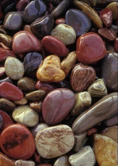 a collection of colorful rocks and stones, arranged in a pile. the rocks are smooth and have a variety of colors, including brown, red, gray, white, and beige. the image is close up, showing the detail of the rocks and their textures.
