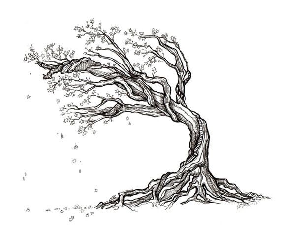 a black and white line drawing of a tree in the wind, with leaves falling off. the tree is drawn in detail, with its branches, roots, and leaves all visible. the lines are bold and clear, creating a strong sense of movement. the image is minimalist and abstract, conveying the beauty of nature in a simple yet powerful way.