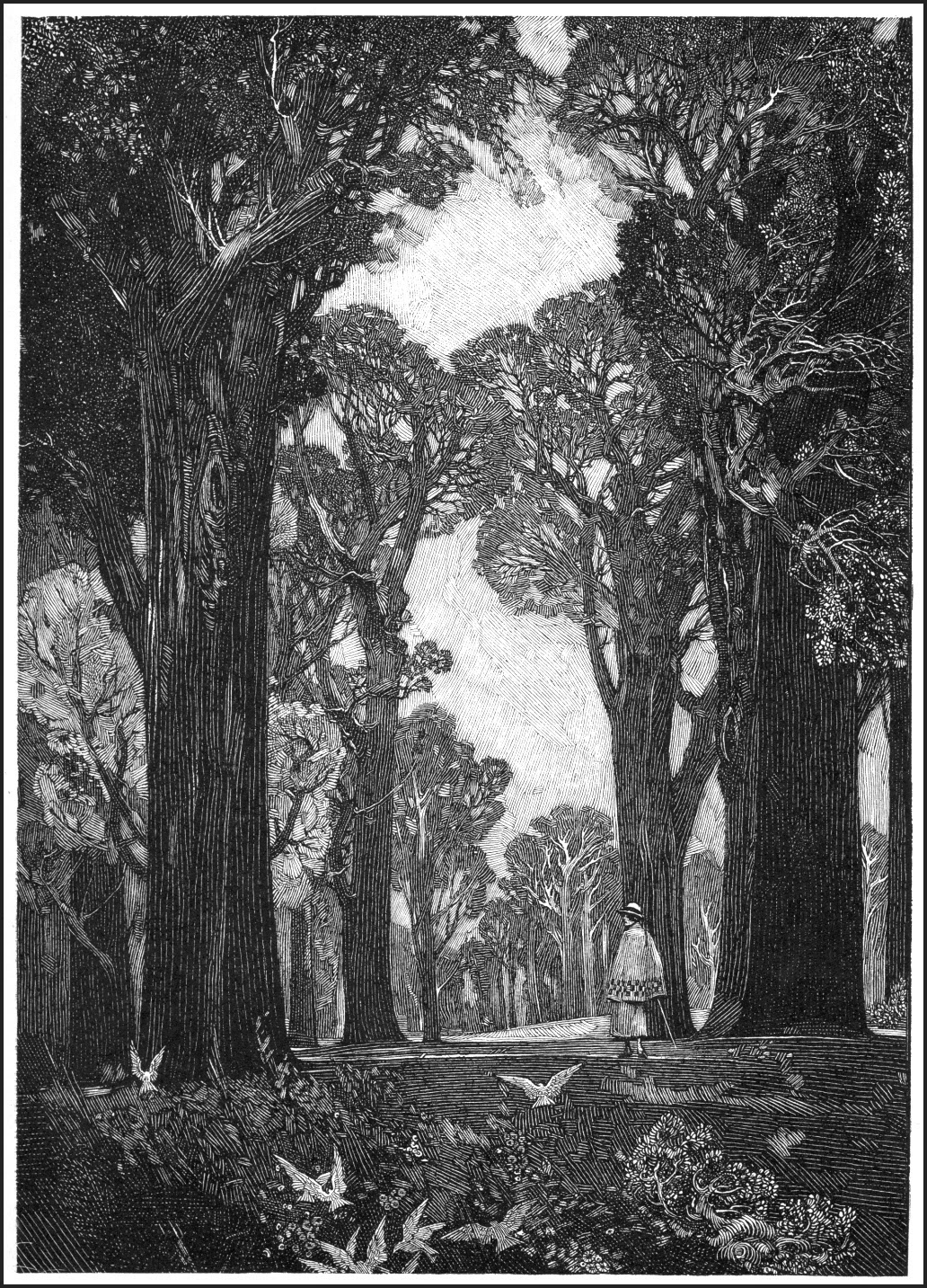 the image is a black and white woodcut or wood engraving print, likely from the late 19th or early 20th century, showcasing an artistic rendering of a forest scene. tall, slender trees form an avenue or path leading towards a lighter background suggesting a clearing or open space. a lone woman, wearing a long coat and hat, is visible in the distance, standing on the path. several birds, possibly doves, are depicted on the ground near the base of the trees. the style suggests art nouveau influences, with the fine detail and stylized natural forms of the trees and birds. the overall mood is serene and somewhat mysterious, conveying a sense of depth and perspective through the use of light and shadow. the technique of the print is clearly evident in the visible lines and textures of the woodcut process.