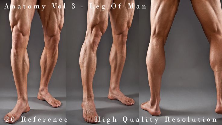 the image shows three different views of a muscular man's legs against a plain gray background. the lighting is soft, highlighting the definition of the muscles. the image is labeled "anatomy vol 3  leg of man" and indicates it contains "20 reference" images in "high quality resolution".