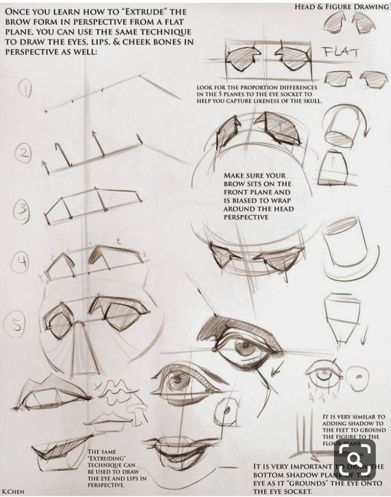 the image is a drawing tutorial on how to draw a head and figure in perspective. the tutorial focuses on using a "extruding" technique to draw the brow, eye, nose, and lips. the image shows several steps, starting with a flat plane and then gradually adding more detail to create a realistic depiction of the face. the tutorial also emphasizes the importance of understanding the shadow plane and how it affects the overall appearance of the face.