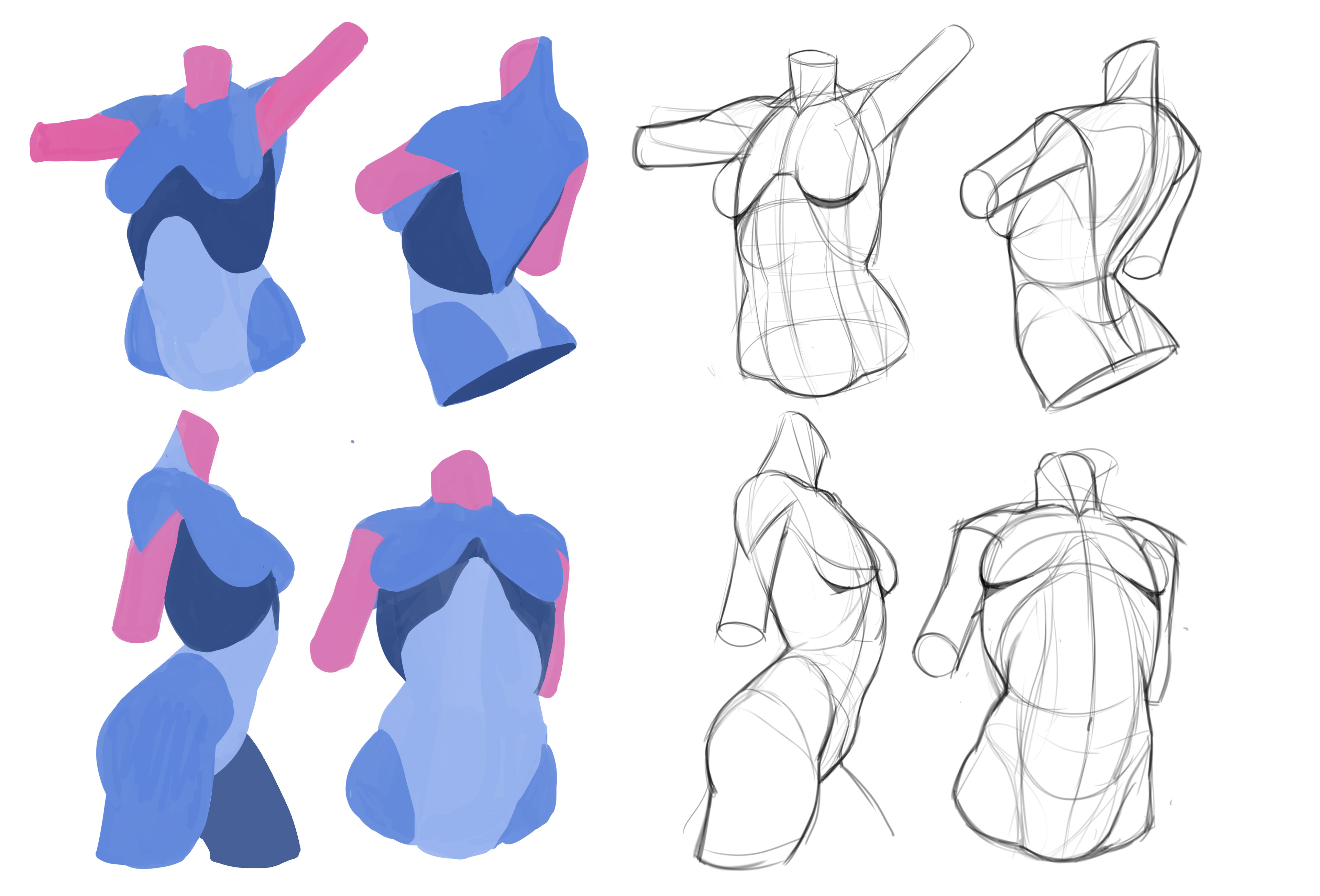 the image presents a comparative study of female torso forms.  the left side showcases a series of four painted torso studies.  these studies are rendered in a painterly style with simplified shapes and muted blue and pink hues. they focus on capturing the overall form and volume of the torso in different poses.  the right side features four corresponding pencil sketches of female torsos, offering more detailed anatomical construction and perspective. these line drawings show muscle structure, bone structure, and the implied movement within each pose.  the overall image demonstrates a progression or exploration of understanding and representing the human form, from simplified shapes to a more detailed anatomical representation.
