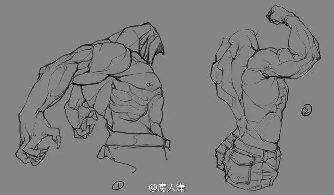 this image shows two different sketches of a muscular male torso. the sketches are drawn in a dynamic pose, with the figures' muscles flexed. the sketches are done in a pencillike style, with both light and dark lines to create depth and dimension.