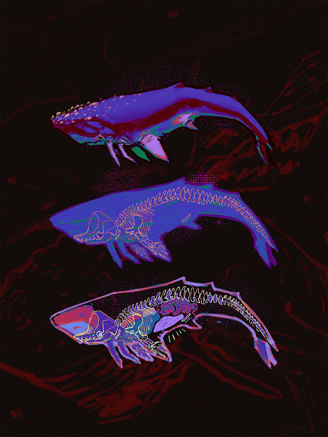 the image depicts three whales in different stages of decomposition. the top whale is still mostly intact, with only a few bones showing through its skin. the middle whale is more decomposed, with its skeleton clearly visible. the bottom whale is nothing but a skeleton. the whales are rendered in a neon color palette, which gives them a surreal and otherworldly appearance. the background is dark and abstract, suggesting the depths of the ocean.  the image evokes a sense of awe and wonder at the cycle of life and death in the natural world.