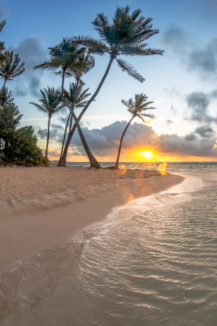 he image showcases a serene tropical beach at sunrise. tall, slender palm trees stand along the shoreline, their fronds swaying gently in the breeze. the golden rays of the rising sun cast a warm glow across the scene, illuminating the white sand and calm turquoise water.  the perspective is wide, capturing the vastness of the beach and the beauty of the sunrise.