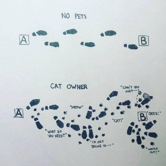 the image depicts two scenarios of footprints from point a to point b. the top shows a straightforward path labeled "no pets" with only human footprints. the bottom path is labeled "cat owner" and includes human footprints along with cat paw prints, creating a meandering path with phrases like "meow," "what do you need?" "can't you just," "geez!" and "watch out!" suggesting the difficulties of navigating with a cat. it's a humorous take on the challenges of cat ownership.