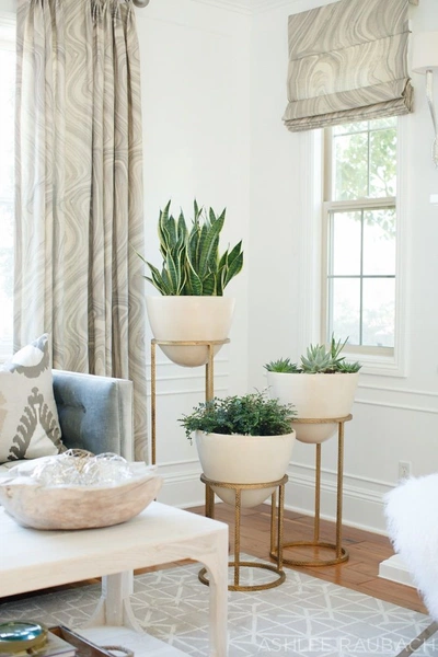 the image showcases a stylish and minimalist living room interior. the focal point is a set of three white potted plants—a snake plant in a large pot and two smaller succulents—arranged on tiered gold plant stands.  the plants are placed in front of a window with a beige roman shade and matching patterned curtains.  a white coffee table sits in the foreground, partially obscuring a light blue sofa with a patterned throw pillow. the overall aesthetic is clean, neutral, and modern, emphasizing natural light and simple elegance.  a fluffy white throw is partially visible in the lower right corner.