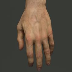 the image shows a highly detailed 3d model of a man's right hand. the skin texture is incredibly realistic, showcasing wrinkles, pores, and a network of prominent veins. the hand is positioned against a neutral gray background, with studio lighting that evenly illuminates the subject, highlighting the intricacies of the model.